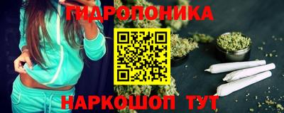 шишки Свободный