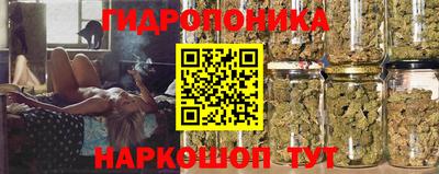 шишки Свободный