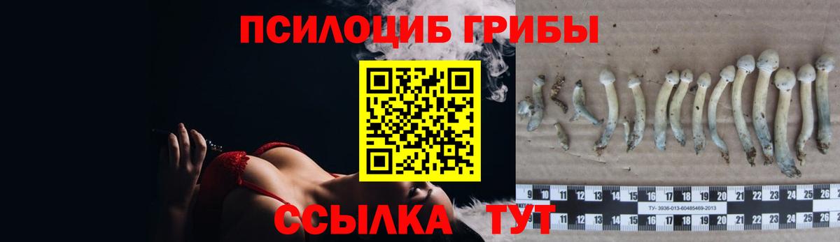 Псилоцибиновые грибы Psilocybine cubensis Самара